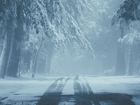 Droga, Śnieg, Mgła, Zima, Drzewa