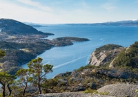 Fiord Husnesfjorden, Wybrzeże, Skały, Drzewa, Wyspa Skorpo, Norwegia