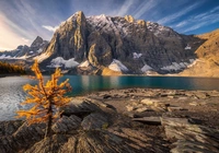 Jezioro Moraine, Góry, Drzewo, Park Narodowy Banff, Alberta, Kanada