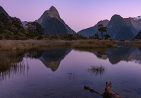 Zatoka Milforda, Fiord Milford, Góry, Alpy Południowe, Góra Mitre Peak, Odbicie, Konar, Park Narodowy Fiordland, Wyspa Południowa, Nowa Zelandia