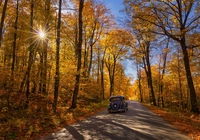 Las, Droga, Drzewa, Promienie słońca, Samochód zabytkowy, Jesień