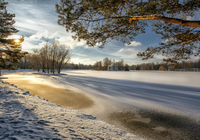 Zima, Park, Zaśnieżony, Staw, Drzewa