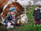 Krowy, Dzieci
