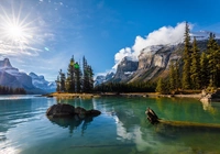 Kanada, Prowincja Alberta, Park Narodowy Jasper, G?ry, Jezioro Maligne, Drzewa