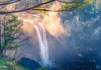 Wodospad Snoqualmie Falls, Ska?y, Drzewa, Hrabstwo King, Stan Waszyngton, Stany Zjednoczone
