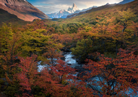 Jesie?, G?ry Andy, G?ra, Fitz Roy, Park Narodowy Los Glaciares, Drzewa, Rzeka, Patagonia, Argentyna