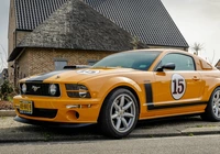 Ford Mustang 302, Saleen