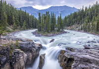 Wodospad Sunwapta Falls, Rzeka Sunwapta, Park Narodowy Jasper, G?ry, Drzewa, Prowincja Alberta, Kanada