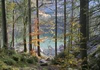 Jezioro Hintersee, Ska?y, Las, Drzewa, Park Narodowy Berchtesgaden, Bawaria, Niemcy