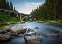 Las, Drzewa, Rzeka, Payette River, Kamienie, Most, Rainbow Bridge, Idaho, Stany Zjednoczone