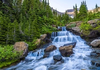 Park Narodowy Glacier, Montana, Stany Zjednoczone, Wodospad, Kamienie, Mech, Rośliny, Drzewa