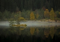 Las, Drzewa, Jesień, Jezioro, Wysepka, Mgła