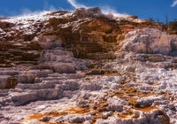 Skały, Mammoth Hot Springs, Drzewa, Park Narodowy Yellowstone, Wyoming, Stany Zjednoczone