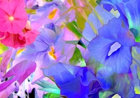 Kolorowe, Różowe, Niebieskie, Kwiaty, Fractalius