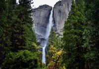 Góry, Drzewa, Skały, Wodospad, Upper Yosemite Falls, Park Narodowy Yosemite, Kalifornia, Stany Zjednoczone