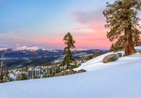 Stany Zjednoczone, Kalifornia, Sierra Nevada, Carson Pass, Zima, Las, Wzgórze, Śnieg, Drzewa, Góry, Kamienie, Niebo