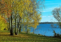 Jesień, Jezioro, Drzewa, Brzozy