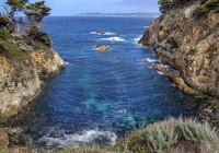 Morze, Skały, Zatoka, Drzewa, Rezerwat Point Lobos, Carmel by the Sea, Kalifornia, Stany Zjednoczone
