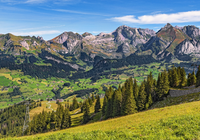Góry, Alpy Berneńskie, Łąka, Drzewa, Dolina, Domy, Toggenburg, Szwajcaria