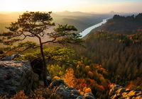 Park Narodowy Saskiej Szwajcarii, Góry Połabskie, Skały, Drzewo, Sosna, Jesień, Rzeka Łaba, Niemcy