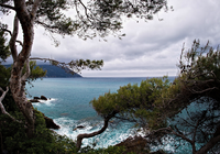 Morze, Drzewa, Skały, Niebo, Chmury, Recco, Liguria, Włochy