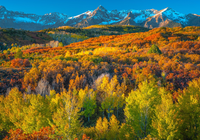 Stany Zjednoczone, Kolorado, Góry, San Juan Mountains, Jesień, Las, Drzewa