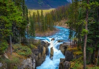 Kanada, Park Narodowy Jasper, Wodospad, Sunwapta, Rzeka, Skały, Drzewa