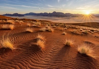 Afryka, Namibia, Pustynia Namib, Wydmy, Trawy, Promienie słońca