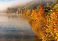 Jesień, Drzewa, Domy, Rzeka Neckar, Mgła, Niemcy