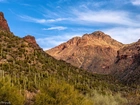 Stany Zjednoczone, Arizona, Tucson, Góry, Wąwóz, Sabino Canyon, Roślinność, Kaktusy