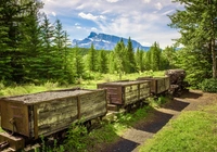 Kanada, Alberta, Lasy, Drzewa, Góra, Mount Rundle, Park Narodowy Banff