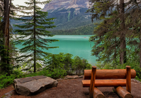 Jezioro, Emerald Lake, Drzewa, Góry, Ławka, Park Narodowy Yoho, Kolombia Brytjska, Kanada