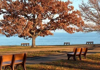 Jesień, Drzewa, Ławki, Zatoka Chesapeake, Stany Zjednoczone