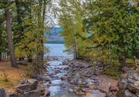 Drzewa, Jezioro, Lake McDonald, Kamienie, Park Narodowy Glacier, Montana, Stany Zjednoczone