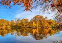 Jesień, Jezioro, Pożółkłe, Drzewa