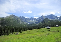 Polska, Góry, Tatry, Lasy, Roślinność, Domki