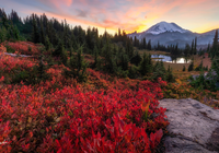 Stany Zjednoczone, Stan Waszyngton, Park Narodowy Mount Rainier, Góry, Lasy, Jezioro, Drzewa, Skały, Kolorowa, Roślinność