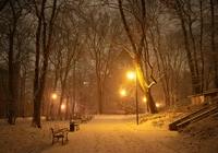 Zima, Park, Noc, Latarnie, Drzewa