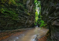 Wąwóz, Skały, Rzeka Glen Creek, Watkins Glen State Park, Nowy Jork, Stany Zjednoczone