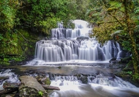 Las, Wodospad, Purakaunui Falls, Drzewa, Skała, Catlins, Nowa Zelandia