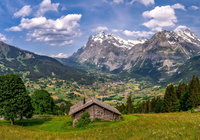 Lato, Góry, Alpy, Dom, Dolina, Grindelwald, Szwajcaria