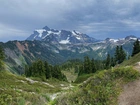 Stany Zjednoczone, Stan Waszyngton, Góry Mount Shuksan, Las, Drzewa, Park Narodowy Północnych Gór Kaskadowych