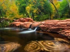 Stany Zjednoczone, Arizona, Dolina, Verde Valley, Rzeka, Beaver Creek, Las, Drzewa, Skały