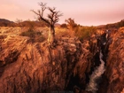 Afryka, Namibia, Region Kunene, Skały, Wąwóz, Rzeka, Cunene River, Wodospad, Epupa Falls, Drzewo