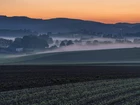 Pola, Dolina, Drzewa, Mgła, Wschód słońca, Góry, Eifel, Nadrenia-Palatynat, Niemcy