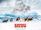 psy, góry, Eight Below, Paul Walker