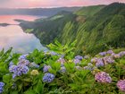 Niebieskie, Różowe, Hortensje, Jezioro Azul, Jezioro Verde, Góry, Lasy, Sete Cidades, Wyspa Sao Miguel, Azory, Portugalia