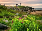 Morze, Wybrzeże, Latarnia morska, Nubble Lighthouse, Skały, Rośliny, Cape Neddick, Maine, Stany Zjednoczone