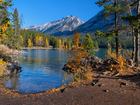 Jezioro, Lake Minnewanka, Wysepka, Góry Skaliste, Drzewa, Gałęzie, Park Narodowy Banff, Alberta, Kanada