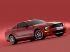 Shelby, Ford Mustang